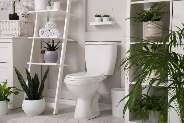 Cost of Toilet Repair in Easton