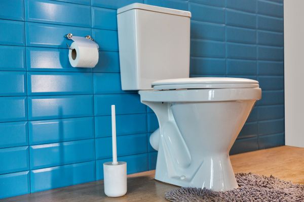 Cost of Toilet Tank Repair in Easton